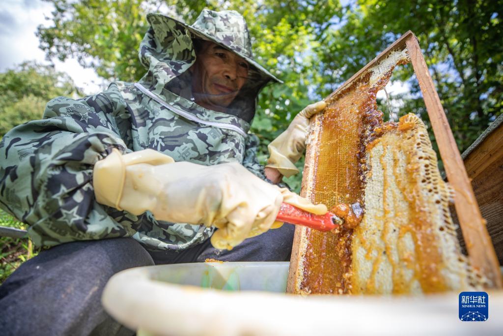 迎丰棋牌平台